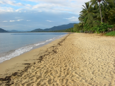 Palm Cove̊Cݕi